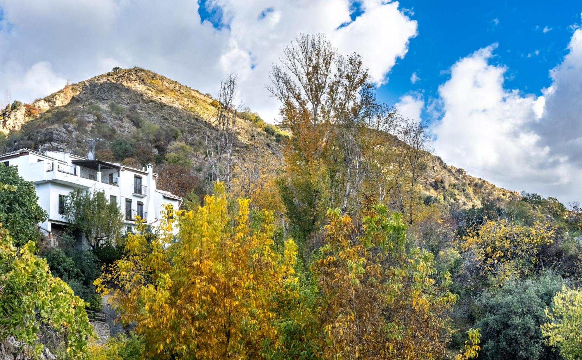 Casa Rural Arroyo De La Greda Guejar Sierra Extérieur photo